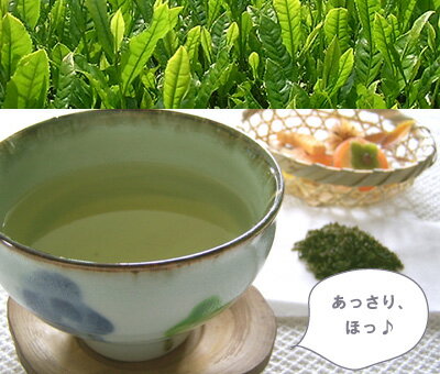 2012年度産新茶になりました！無農薬！農林水産大臣賞受賞茶園！毎日のお茶に♪たっぷり！無添加！有機栽培茶　かおり500g長崎県産【メール便不可】