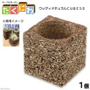 たくにわ ウッディナチュラルCUBE 50 関東当日便