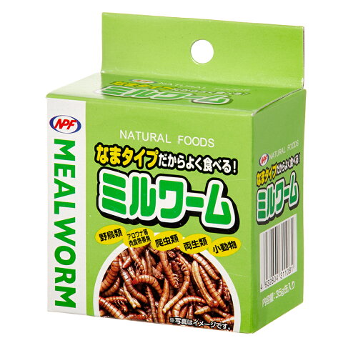 NPF　ミルワーム（缶入り）　35g　両生類・爬虫類　ハリネズミ　フード　餌　エサ　缶詰　ナチュラルペットフーズ　関東当日便