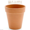デローマ トールポット 直径22cm×24cm 関東当日便