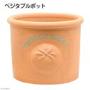 ベジタブルポット 直径30×高さ25cm トマト お一人様3点限り 関東当日便