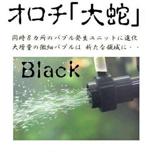 ׃ou@I`uցvBlack@I`@fBt[U[@֓