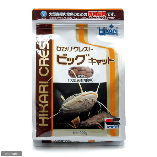 ひかりクレスト　ビッグキャット　900g（パック）【関東当日便】【HLS_DU】