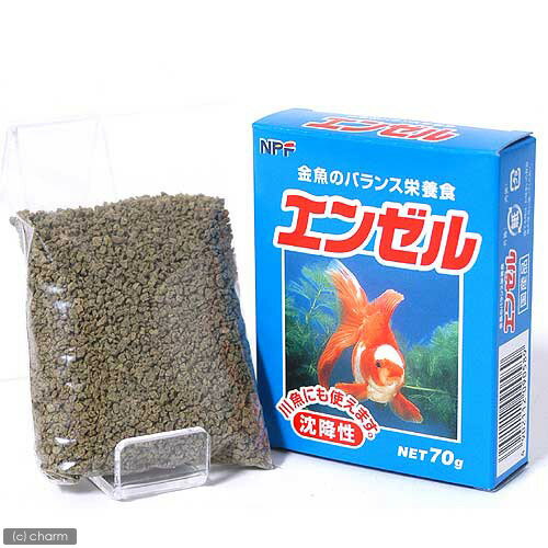 エンゼル　70g【関東当日便】