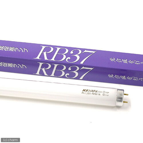 《交換球》RB37　15W【関東当日便】【HLS_DU】