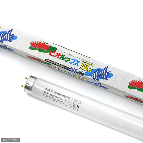 植物育成・熱帯魚観賞魚用ランプ《交換球》ビオルックス　HG　20W 【あす楽対応_関東】