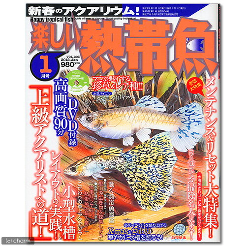 楽しい熱帯魚　1月号　（2012）【関東当日便】【HLS_DU】DVD付録付き！