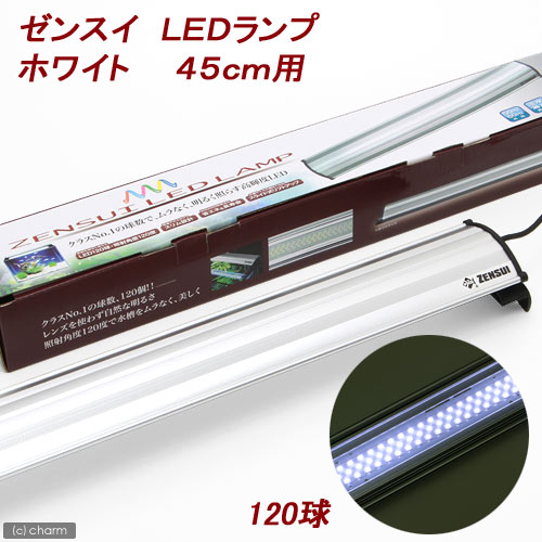 ゼンスイ　LEDランプ　ホワイト　45cm用【リニューアル】【関東当日便】【HLS_DU】低電力＆高光度！