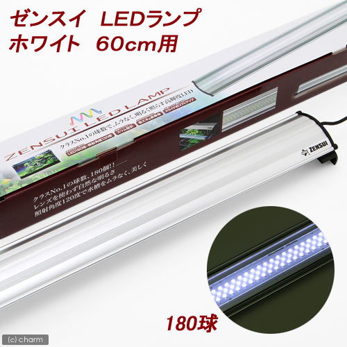 《お一人様2点限り》ゼンスイ　LEDランプ　ホワイト　60cm用【リニューアル】【関東当日便】