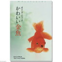 アウトレット品 ポストカードブック かわいい金魚 ポストカード 金魚 訳あり【HLS_DU】 関東当日便