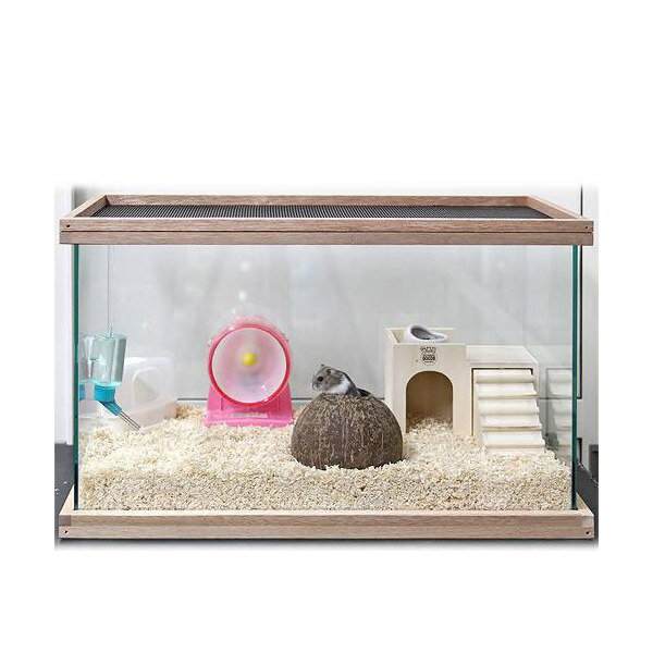 ドワーフハムスター飼育 ココナッツバスセット 600 ケージ・飼育容器(寸法)幅60cm〜 関東当日便 ドワーフハムスター飼育 ココナッツバスセット 600 ケージ・飼育容器(寸法)幅60cm〜 関東当日便