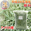 《お一人様20点限り》平成24年度産　スーパープレミアムホースチモシー　チャック袋　500g《牧草》超高品質プレミアムな牧草！