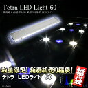 《お1人様1点限り》テトラ　LEDライト　60数量限定！お買い求めはお早めに！