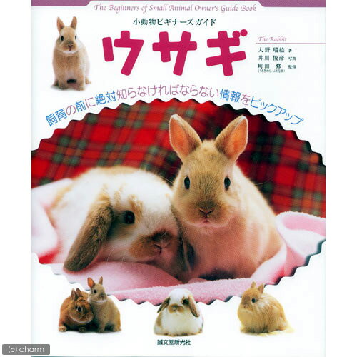小動物ビギナーズガイド　ウサギ【関東当日便】【HLS_DU】