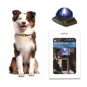 ペット・セーフティーライト-LED ブルー 犬 夜間 散歩用 LED点滅ライト 関東当日便