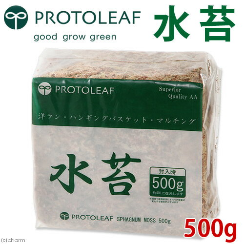 プロトリーフ　水苔　チリ産（AAランク）（圧縮タイプ）　500g　関東当日便...:chanet:10265700