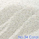 No34Coralʥ󥴺ˡѥ9åȥ60cm...