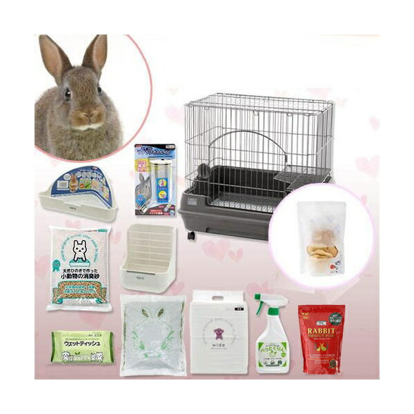 はじめてのうさぎ飼育セット チャームセット ショコラ ドライフルーツのおまけつき うさぎ 飼育セット 沖縄別途送料 お一人様1点限り 関東当日便