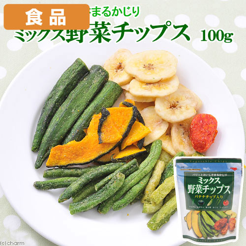 ミックス野菜チップス　100g【関東当日便】