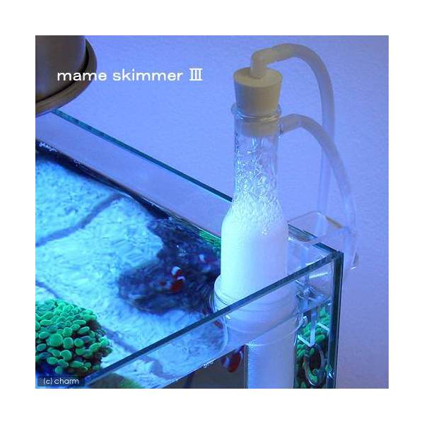 マメスキマー3　（mame　skimmer3）【関東当日便】【HLS_DU】