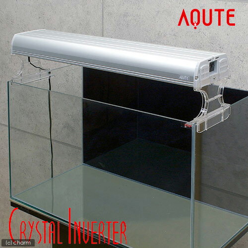 ʥߥܥǥAQUTEꥹ륤С600