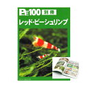 プロファイル　100別冊　レッド・ビーシュリンプ【関東当日便】【HLS_DU】