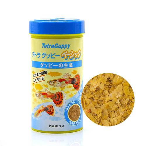 テトラ　グッピー　ベーシック　70g【関東当日便】