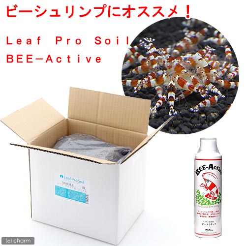 A＆Fソイル（8kg）　＋　BEE−Active　250ml【関東当日便】【HLS_DU】