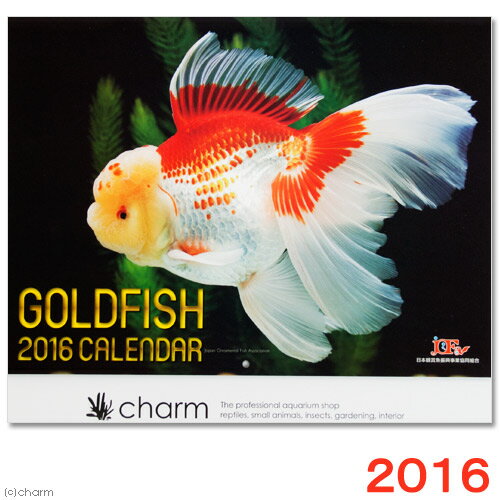 アウトレット品　GOLDFISH　金魚カレンダー　2016（壁掛けタイプ）　チャームオリジ…...:chanet:10389593