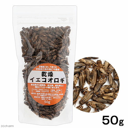 乾燥イエコオロギ　50g（約600〜650匹入り）　爬虫類　餌　エサ　フタホシ　コオロギ　…...:chanet:10352518