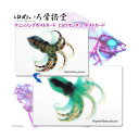 ゆうパケット対応 ゆめいろ骨格堂 チェンジングポストカード ヒョウモンダコ ポストカード 透明標本 同梱・代引き・着日指定不可