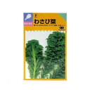 ゆうパケット対応 野菜の種 わさび菜の種 家庭菜園 同梱・代引き・着日指定不可