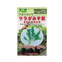 ゆうパケット対応 ベビーリーフタネ サラダみず菜 早生千筋京水菜 家庭菜園 同梱・代引き・着日指定不可