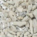 (海水魚 ろ材)バクテリア付き ばくとサンドXLサイズ ネット入り 6L(約4.6kg)