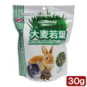 NPF ハーティー 大麦若葉 30g 関東当日便