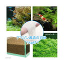 水草とシュリンプの土 こげ茶 3.3kg (約3リットル) (細粒タイプ)+ アマゾン川源流の白砂 1kg 関東当日便