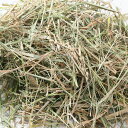 国産 やみつき干し稲 100g おやつ牧草 敷材【HLS_DU】 関東当日便