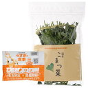 国産 こまつ菜 20g うさぎフードおまけ付 お一人様1点限り【HLS_DU】 関東当日便