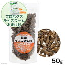 乾燥イエコオロギ 50g(約600~650匹入り) プロバグズライスワーム15gおまけ付き 関東当日便