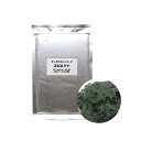 冷凍★スピルリナ 100g×10枚 ディスカスハンバーグ 別途クール手数料 常温商品同梱