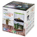 ゼンスイ ライティキューブ クリアー 関東当日便