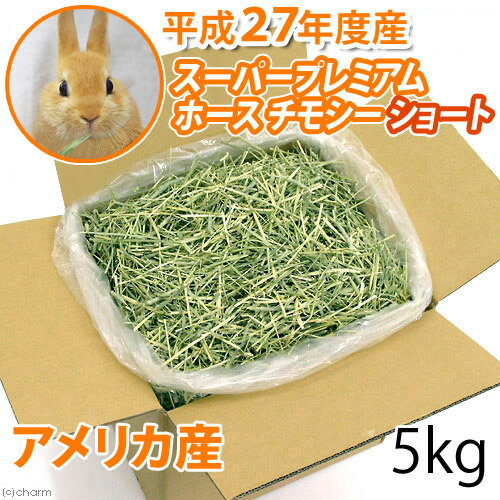 ʼʤ𡪥ץߥۡ⥷1ִ硼ȡʥܡȢˡ5kg ڤб_