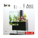 後日生体(熱帯魚) brio35 ホワイト 50Hz 東日本用 Aセット 本州・四国限定