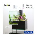 後日生体(熱帯魚) brio35 ブラック 60Hz 西日本用 Aセット 本州・四国限定
