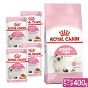 ロイヤルカナン 猫 子猫から始めるセット 成長後期の子猫用 ドライフード400g + パウチ85g×4袋 関東当日便