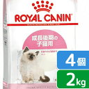 お買得セット ロイヤルカナン FHN キトン 成長後期の子猫用 2kg 4袋 正規品 3182550702423 お一人様5点限り 【KN_201603_01】 関東当日便