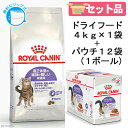 ロイヤルカナン 猫 適正体重を維持したい成猫セット ドライ4kg×1袋 ジップ付 + パウチ85g×12袋 沖縄別途送料 関東当日便