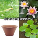 (ビオトープ)(めだか)はじめての睡蓮栽培セット ポールハリオット+陶鉢440+ヒメダカ+浮き草他 説明書付 本州・四国限定