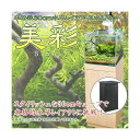 本格派30cm水草レイアウト用水槽セット 美彩(BISAI) お一人様5点限り 沖縄別途送料 関東当日便