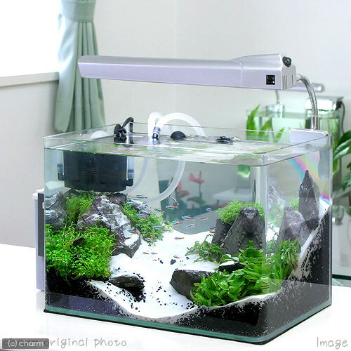 Fluval Roma 125 28270-1